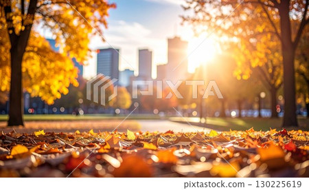 Autumn scenery with a distant cityscape in the background - Autumn leaves 130225619