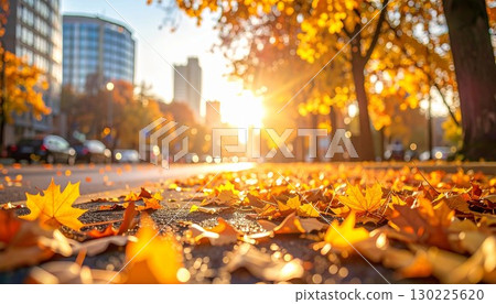Autumn scenery with a distant cityscape in the background - Autumn leaves Autumn scenery with a distant cityscape in the background - Autumn leaves 130225620