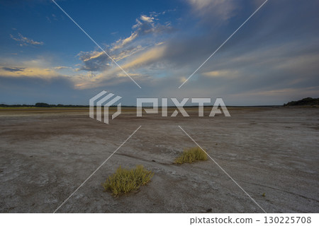 Saltpeter on the floor of a lagoon in a semi desert environment, La Pampa province, Patagonia, Argentina. Saltpeter on the floor of a lagoon in a semi desert environment, La Pampa province, Patagonia, Argentina. 130225708