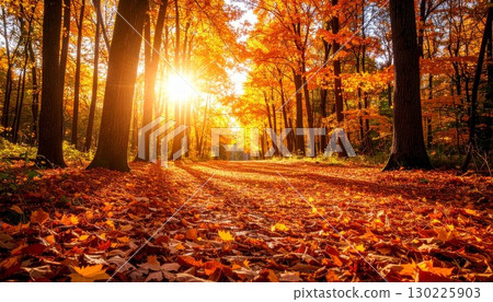 Autumn image: Parks and squares with autumn leaves Autumn image: Parks and squares with autumn leaves 130225903