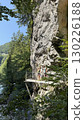 Hikers Enjoying Scenic Cliff Walkway in Forest 130226188