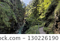 Scenic Mountain Gorge with Forested Trail in Nature 130226190