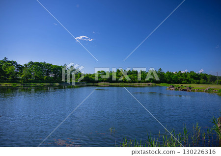 八岳觀星地點：八岳親密公園 130226316