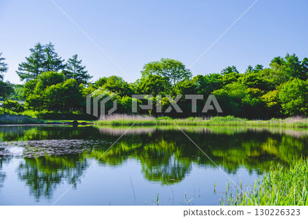 南牧村八岳親密公園 130226323