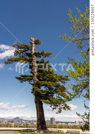 從仙台城遺址俯瞰仙台市 130226607