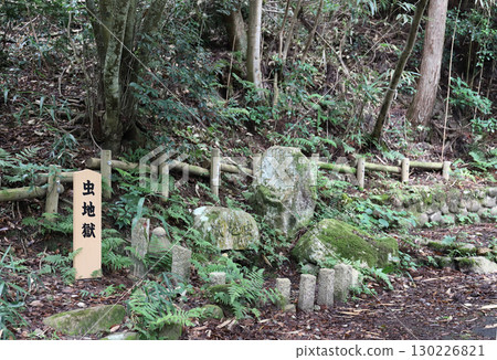 有馬溫泉昆蟲地獄（兵庫縣神戶市） 130226821