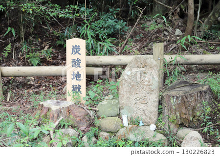 Arima Onsen Carbonated Hell (Kobe City, Hyogo Prefecture) 130226823