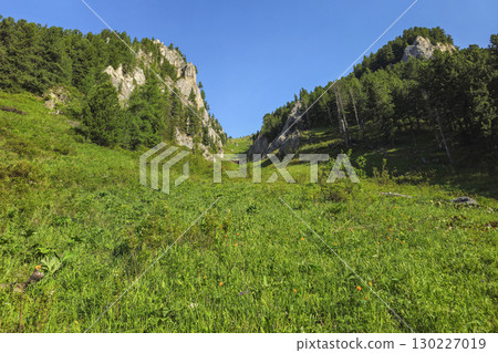 gorge, with a mountainside covered in green grass gorge, with a mountainside covered in green grass 130227019