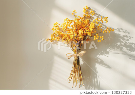 白色背景上一束乾燥含羞草花的照片 130227333