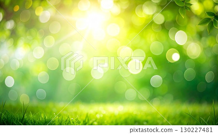 Background image of leaves illuminated by soft sunlight 130227481