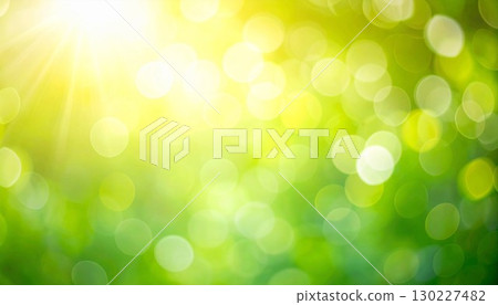 Background image of leaves illuminated by soft sunlight 130227482