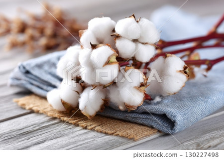 Raw cotton flowers lying on blue denim fabric and burlap on wooden table 130227498