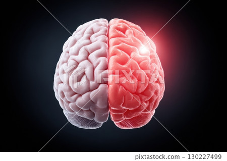 Human brain showing activity in right hemisphere on dark background Human brain showing activity in right hemisphere on dark background 130227499