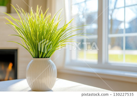 Sleek minimalist living room featuring a vibrant potted plant by the window with natural light filtering through 130227535
