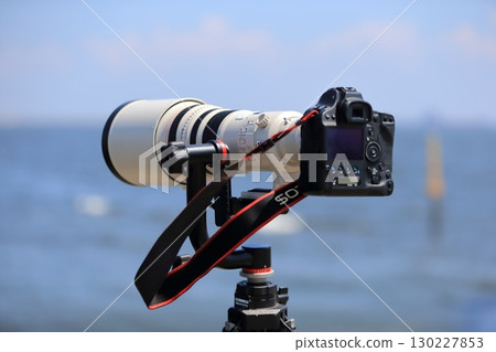 SLR camera with a telephoto lens 130227853