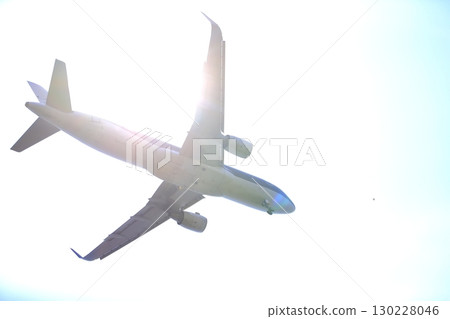 起飛和著陸一架客機 130228046