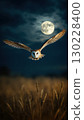Barn owl flying over wheat field under full moon at night 130228400