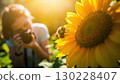 Photographer capturing bee pollinating sunflower in golden sunlight 130228407