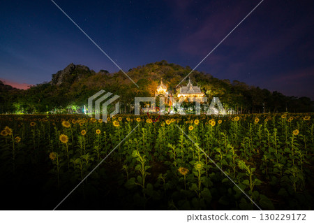 Scenery a field of yellow sunflowers in beautiful twilight 130229172