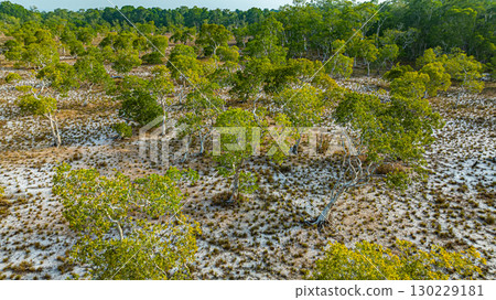 Aerial view of Samed Khao trees at Prathong island Phang Nga. Aerial view of Samed Khao trees at Prathong island Phang Nga. 130229181