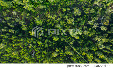 Aerial top view of Samed Khao forest at Prathong island Phang Nga. Aerial top view of Samed Khao forest at Prathong island Phang Nga. 130229182