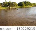 Flood scenery 130229215