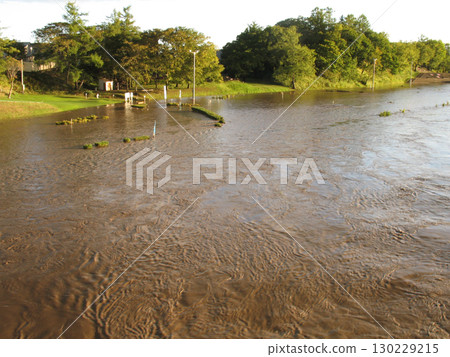 Flood scenery 130229215