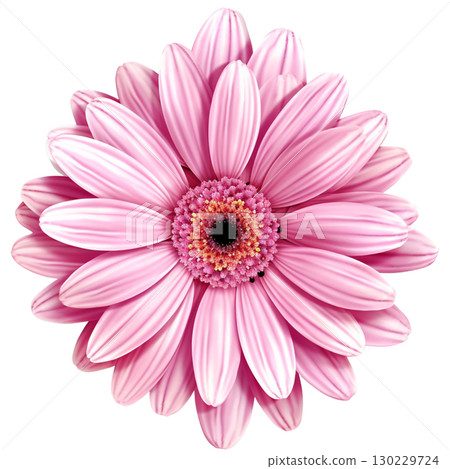 Gerbera 130229724