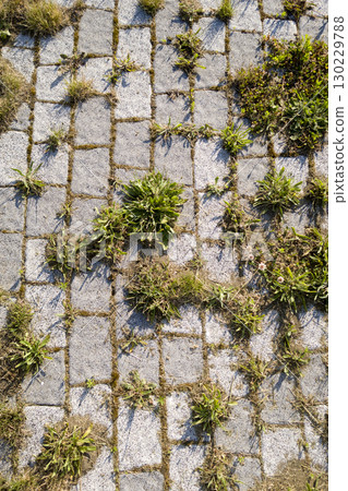 Dilapidated park road Dilapidated park road 130229788