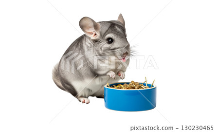 A chinchilla sits upright on its back legs, curiously licking its lips. It is positioned near a bowl filled with dry food, displaying an inquisitive and playful demeanor. 130230465