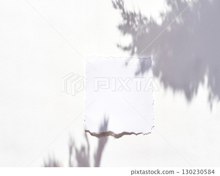 Blank torn paper on white surface with natural shadow overlay from leaf 130230584