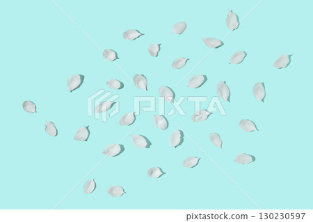 White flower petals scattered on light blue background creating a minimalist 130230597