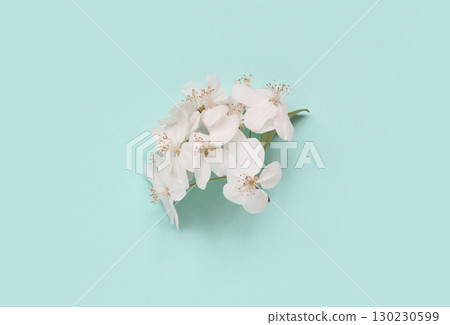 Delicate white cherry blossoms against a soft pastel blue background Delicate white cherry blossoms against a soft pastel blue background 130230599