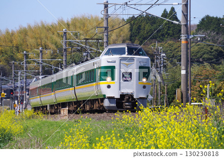 灰色車廂中，綠線與黃線交織的「綠八雲」列車沿著山陰本線行駛，沿途的黃色油菜花盛開。 130230818