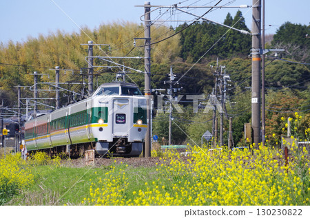 灰色車廂中,綠線與黃線交織的「綠八雲」列車沿著山陰本線行駛,沿途的黃色油菜花盛開。 灰色車廂中,綠線與黃線交織的「綠八雲」列車沿著山陰本線行駛,沿途的黃色油菜花盛開。 130230822