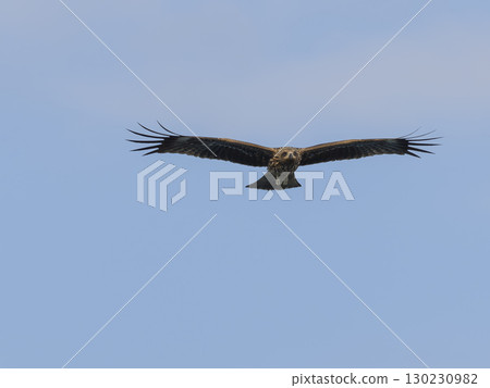 Fly blue sky Fly blue sky 130230982