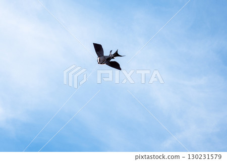 Kite in a blue sky. Black bird kite flying among the clouds. Happy growing years moment. Outdoor time spending. Freedom and summer holiday. Childhood dream. Kite in a blue sky. Black bird kite flying among the clouds. Happy growing years moment. Outdoor time spending. Freedom and summer holiday. Childhood dream. 130231579