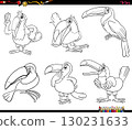 cartoon toucans birds wild animal characters set coloring page 130231633