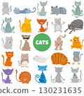 funny cartoon cats and kittens animal characters big set 130231635