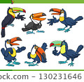 cartoon toucans birds wild animal characters collection 130231646