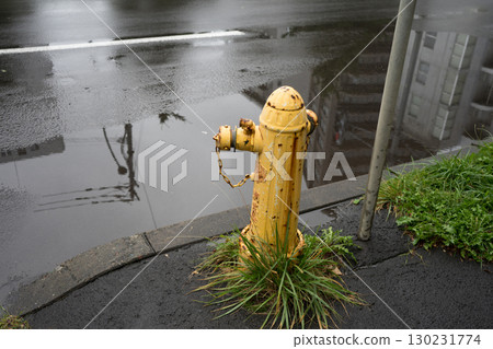 Yellow fire hydrant wet with rain Yellow fire hydrant wet with rain 130231774