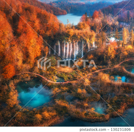 Aerial view of waterfall in red autumn forest at sunrise Aerial view of waterfall in red autumn forest at sunrise 130231806