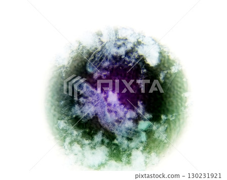 Nematode Germs Observed Under the Microscope Displaying Unique Structures and Coloration 130231921
