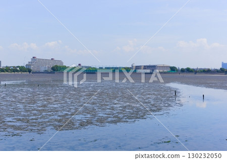 千葉縣習志野市谷津灘塗週邊,2025年8月 千葉縣習志野市谷津灘塗週邊,2025年8月 130232050