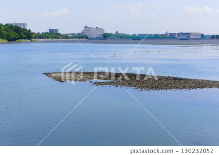 Around Yatsu tidal flats, Narashino City, Chiba Prefecture, August 2025 130232052