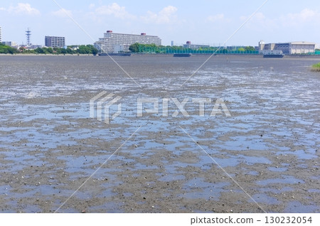 千葉縣習志野市谷津灘塗週邊,2025年8月 千葉縣習志野市谷津灘塗週邊,2025年8月 130232054