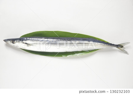 一條生秋刀魚 130232103