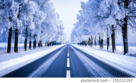 A perspective composition of a snow-covered tree-lined road / A beautiful landscape that captures the stillness and coldness of winter 130232197