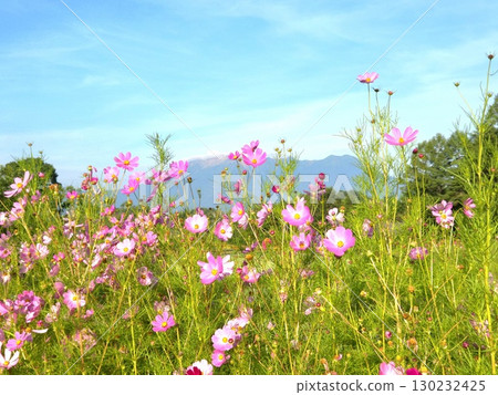 夏季的御嶽山與花景 130232425