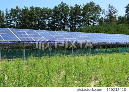 太陽能電池板自然能源 130232428
